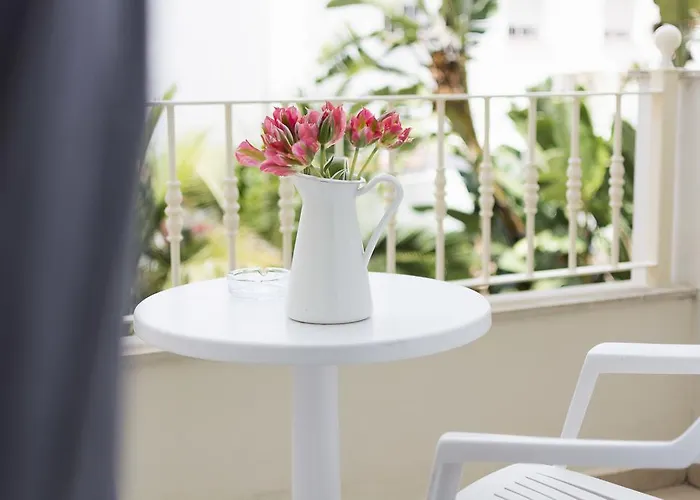 호텔 메나 플라자 3*