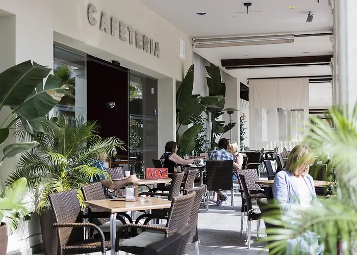 호텔 메나 플라자