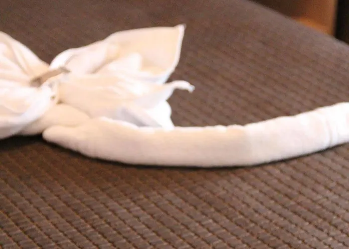 호텔 메나 플라자 3*