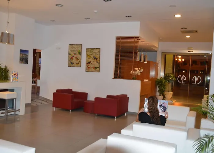 메나 플라자 호텔