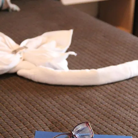Hotel Mena Plaza 3*